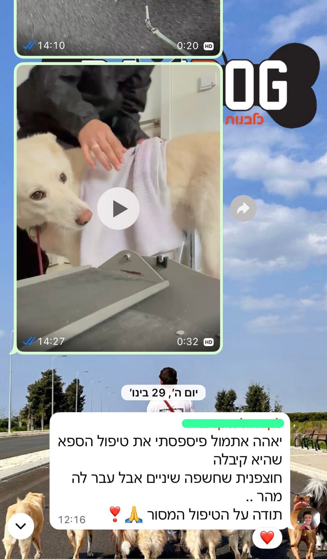המלצה 7