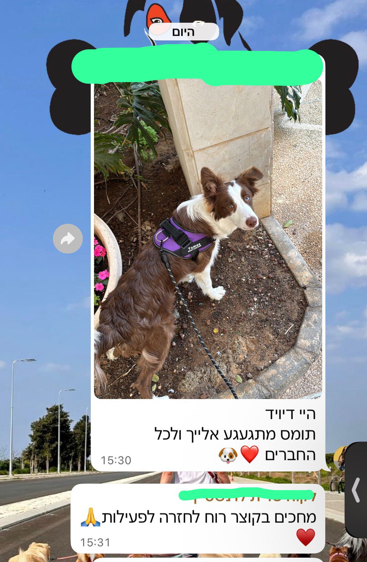 המלצה 3