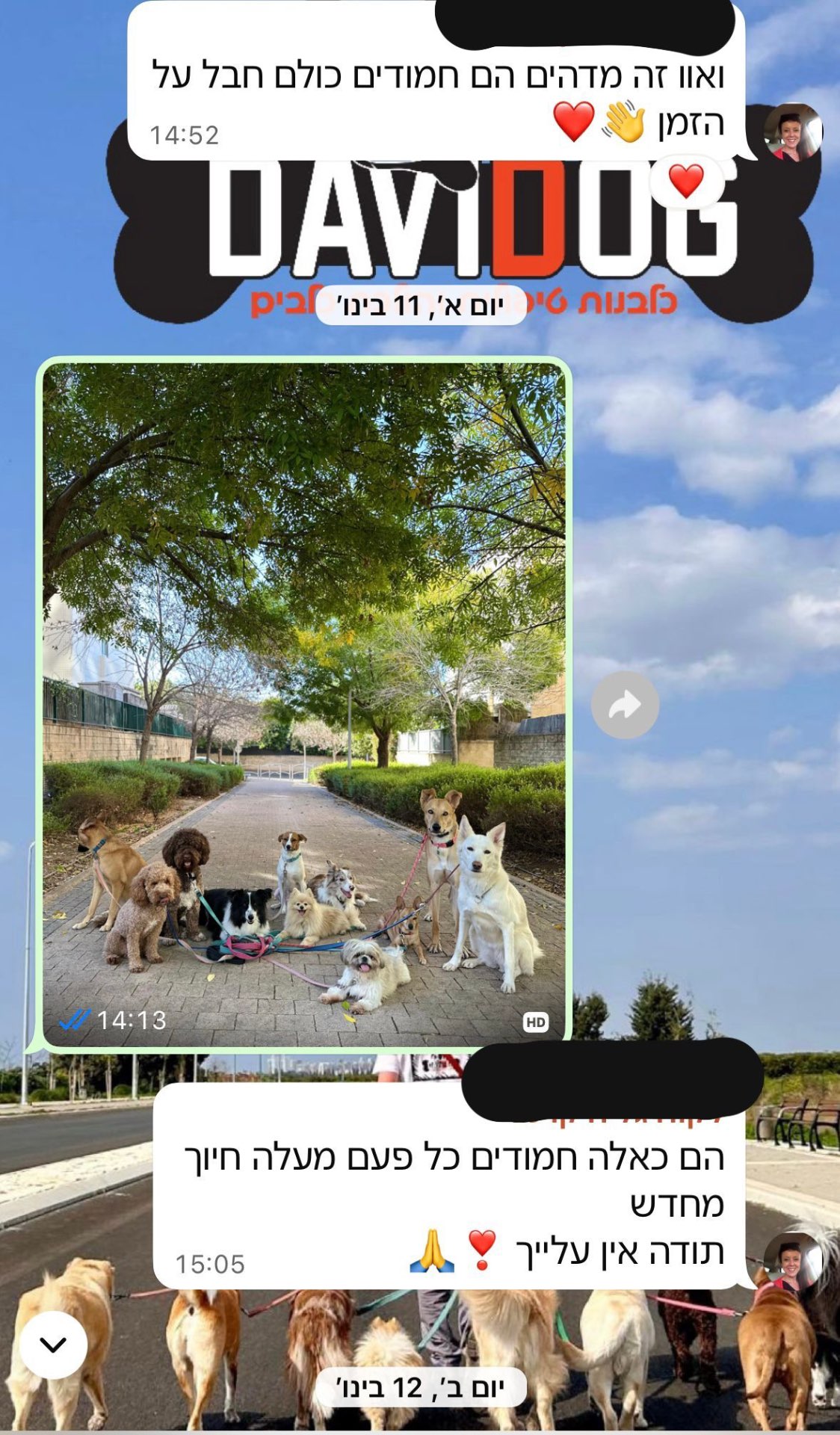 המלצה 2