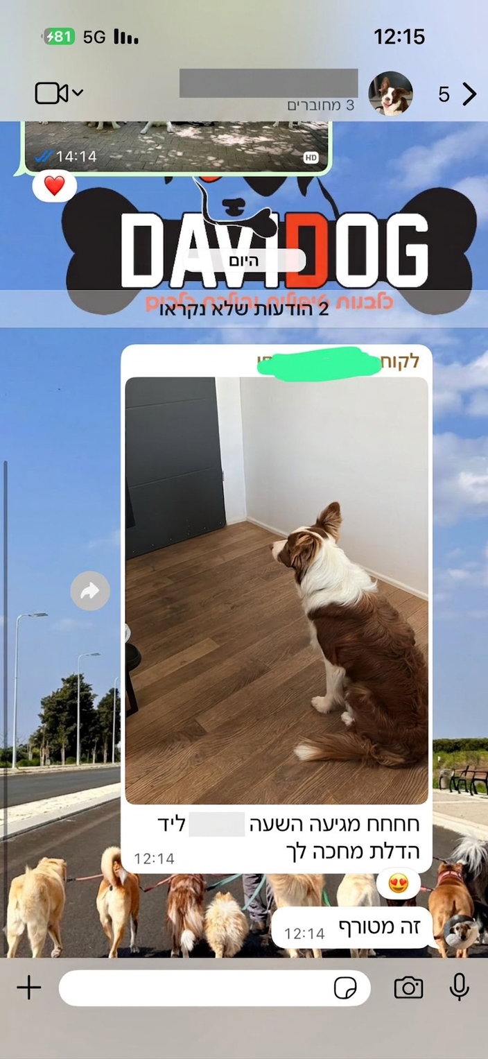 המלצה 8