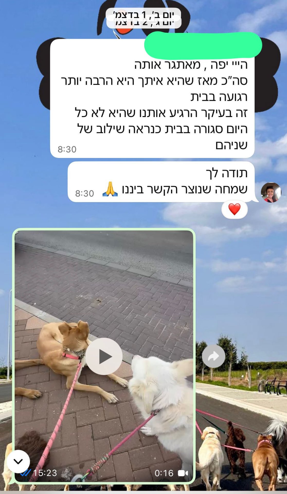 המלצה 1