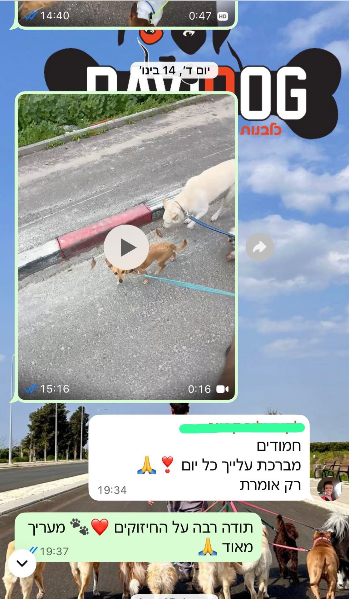 המלצה 4