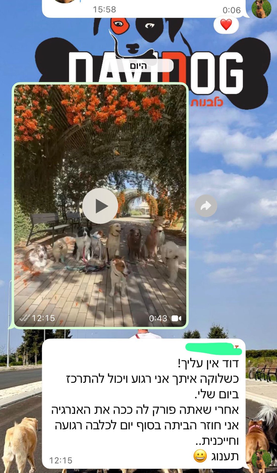 המלצה 6